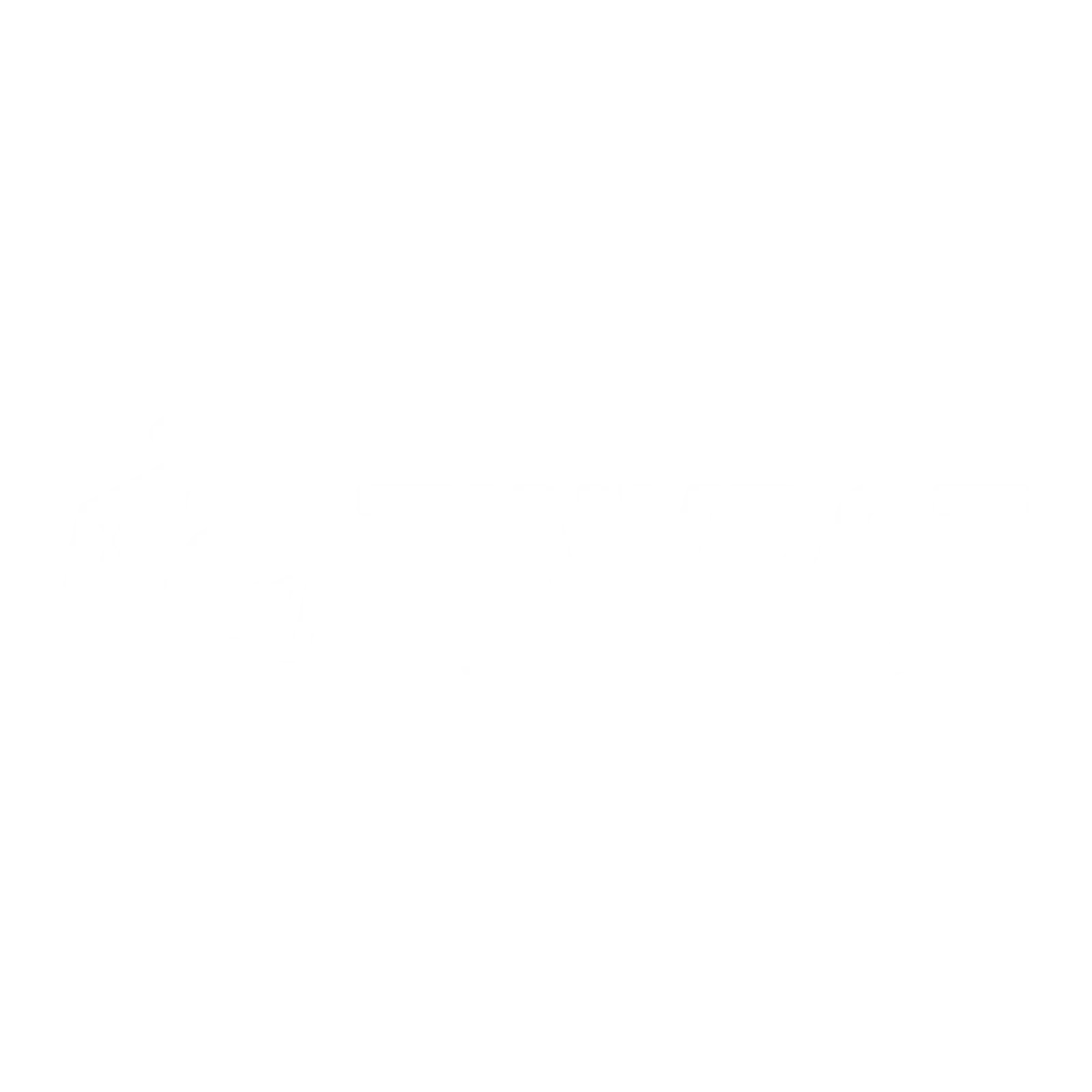 Tinybot